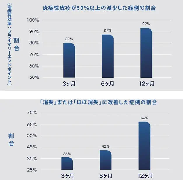 説明図