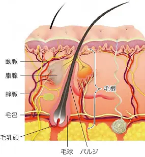 説明図